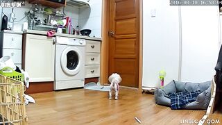 해킹된 집 IP 카메라 한국 소녀들의 사생활과 여자 친구의 나체를 엿보다 1 korean porn vip ipcam