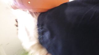 パンチラ警察24時 容疑者は12人 スカートぶってる女子を検挙せよ voyeur jp 05