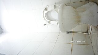 【トイレの写真】トイレの前にある公衆トイレの便座のオリジナル写真 toilet (4)