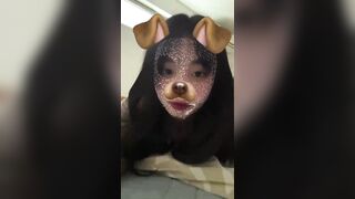 永久保存版推しのレア映像・自撮り、498GB超豪華パック jvip 210626 jWknUrfFFWw004 0060