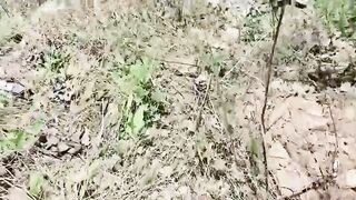 屋外での兄妹近親相姦❤️ 妹を山に連れて行って野生の野菜を掘りに行ったんだけど、前回は野外でのセックスに夢中だった。周りに誰もいないのを china