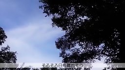 素人の動画-535LOG-002 【個人撮影】カップルY●uTuberの軽井沢デートVlog→ハメ撮り濃厚SEX！！！ニコニコ笑顔で愛嬌抜群のめっかわ彼女