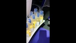 新加坡航空Scoot女服務員與乘客饮酒走光流出