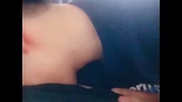 치위생사 (24)