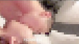 최근 인기많고 활동중인 트위터 섹트계정 모음집 (403)