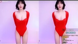 방금삭제된 하이레그 루루 댄스1